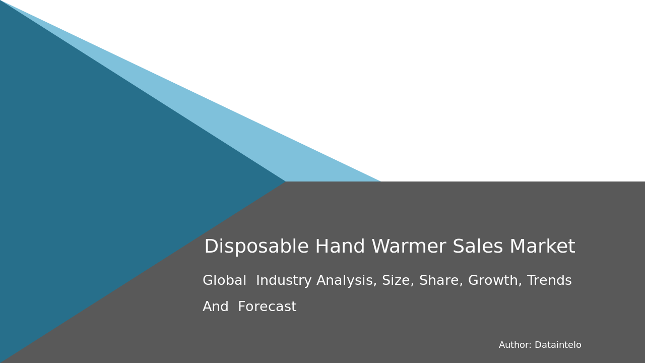 Disposable Hand Warmer Sales Market Research Report 2032